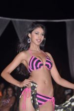 at Indian Princess Contest in Mumbai on 16th Feb 2013 (57).JPG